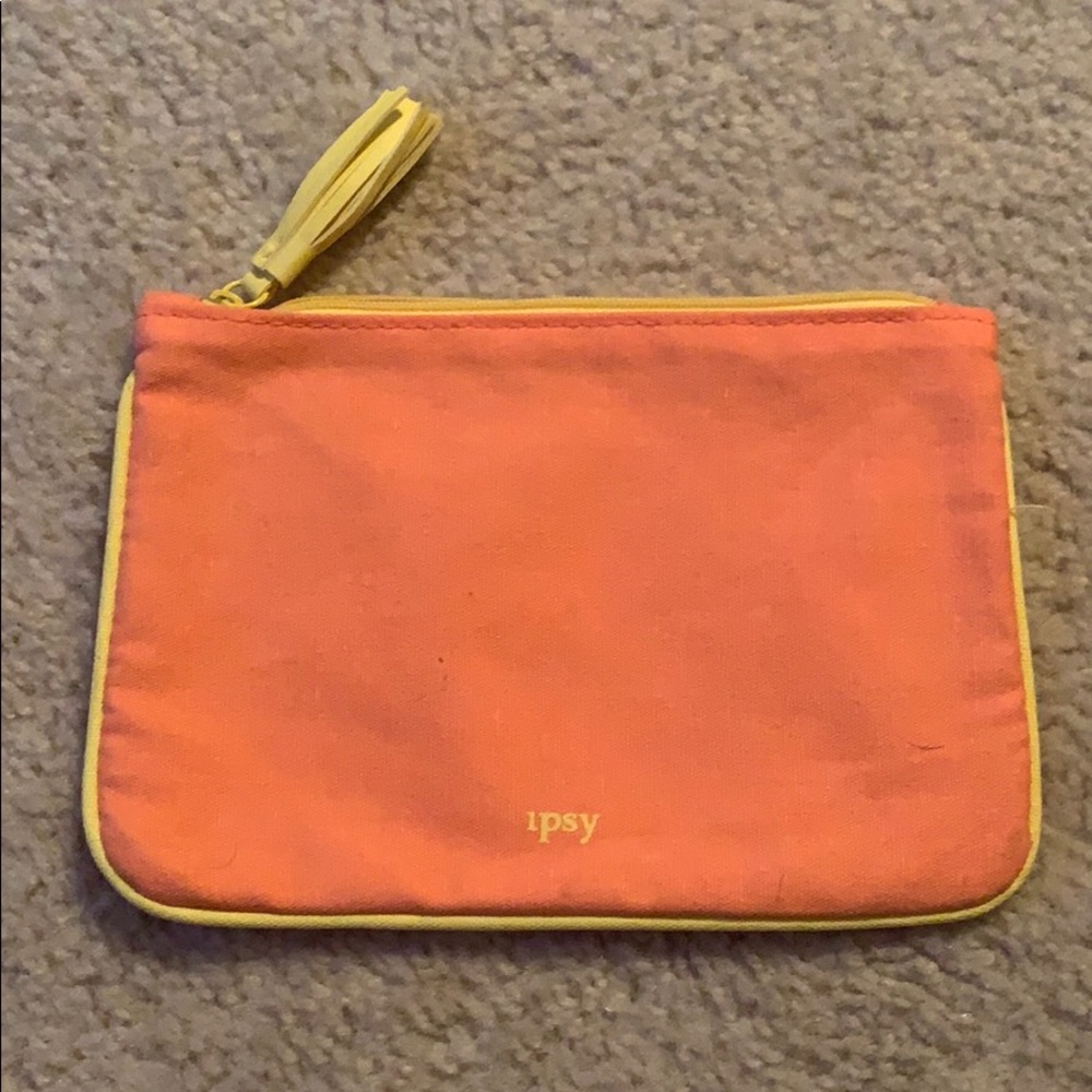 Ipsy Make Up Bag
